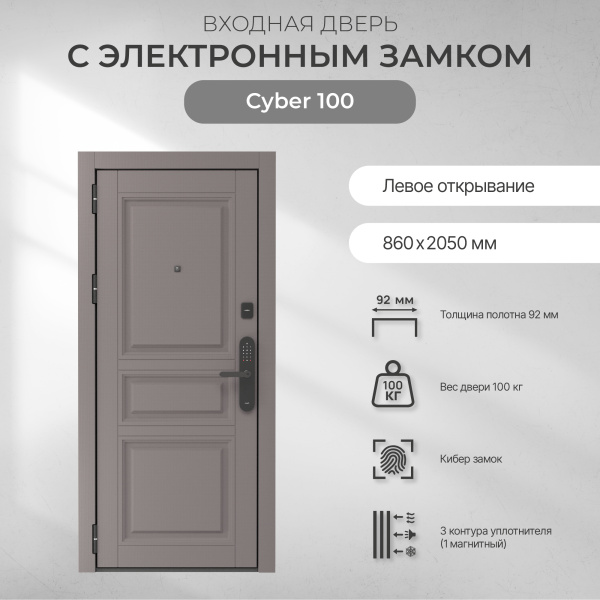 Cyber 100